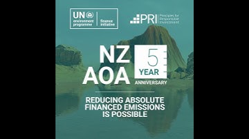 NZAOA Five-Year Anniversary Series: Reducing absolute financed emissions is possible