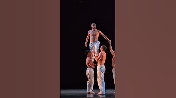 Microdose Pilobolus from Particle Zoo... walk in the stars drop