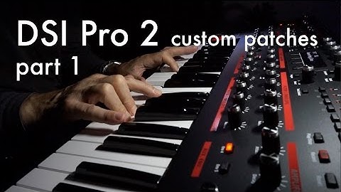 DSI Pro 2 demo: custom patches 1