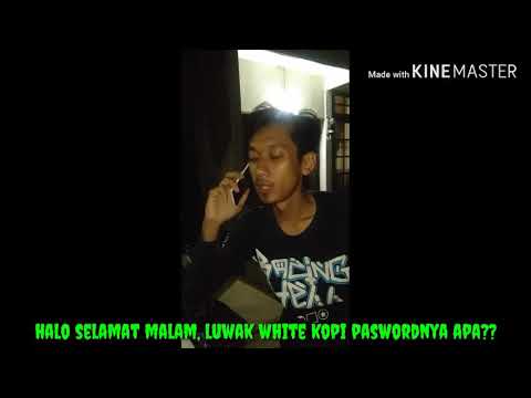 Kumpulan Kata Kata Buat Status Whatsapps Lucu Banget Youtube