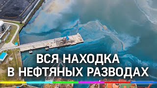 Вся Находка в нефтяных разводах: жуткие кадры океана с воздуха Вся Находка в нефтяных разводах: жуткие кадры океана с воздуха