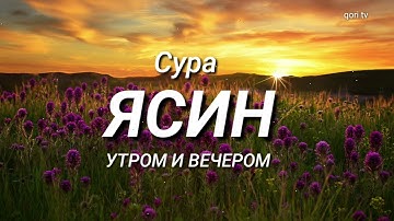 ✔️Сура Ясин, سورة يس Утром И Вечером, Лечение Сердца и Всего Тела
