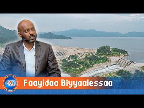 Kutannoo Mootummaan Faayidaa Biyyaalessaaf Qabu Ajaa Iba Ayyaanaa Fayyisaa