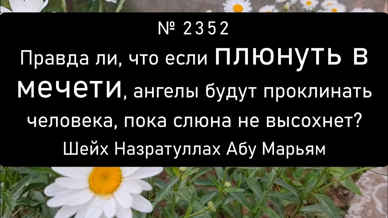 Правда ли, что если плюнуть в мечети, ангелы будут проклинать человека, пока слюна не высохнет?