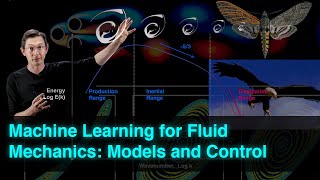 Machine Learning for Fluid Dynamics: Models and Control