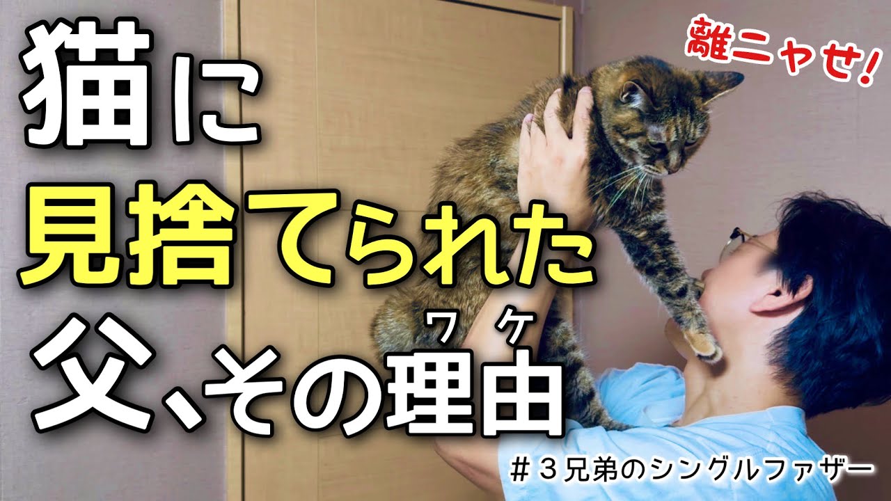 【父の逆襲】猫が戻って来たきっかけはコレだった(no.444)
