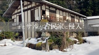 【古民家】雪かきと、サル侵入を防ぐ[Old folk house] Shoveling snow and preventing monkeys from entering