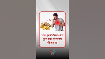 general knowledge || quiz | spinal cord। part-1083