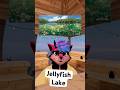 The Golden Jellyfish of Palau #furry #vrchat #vtuber