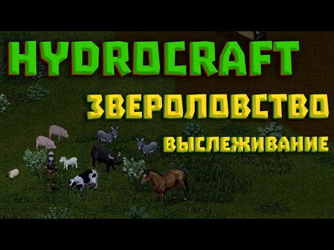 Project Zomboid Hydrocraft #11 Звероловство. Собаки и выслеживание животных.