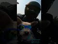 Lino y yo rodando por la cdmx #dogs #motos #biker #perros