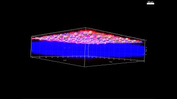 A RIFT IN THE RETINA MAY HELP REPAIR THE OPTIC NERVE (#3)