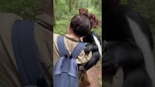 Monkeys Love Never Disappeared For His Human Mom