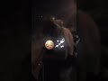 كنت فتى مفتون فيها كنت فتى مفتون فيها