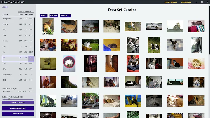 DeepView Tutorial - VOC Dataset Import