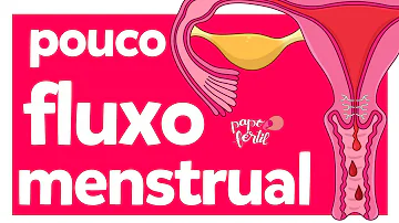 O que comer para aumentar o fluxo menstrual?