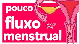 Pouca menstruação | Ciclo Menstrual | Sangramento | Papo Fértil | Dra Letícia