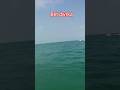 Dwrka#betdwarka#srikrishna#nagri#gujrat#trusium#youtube#travel#trending#viral#video