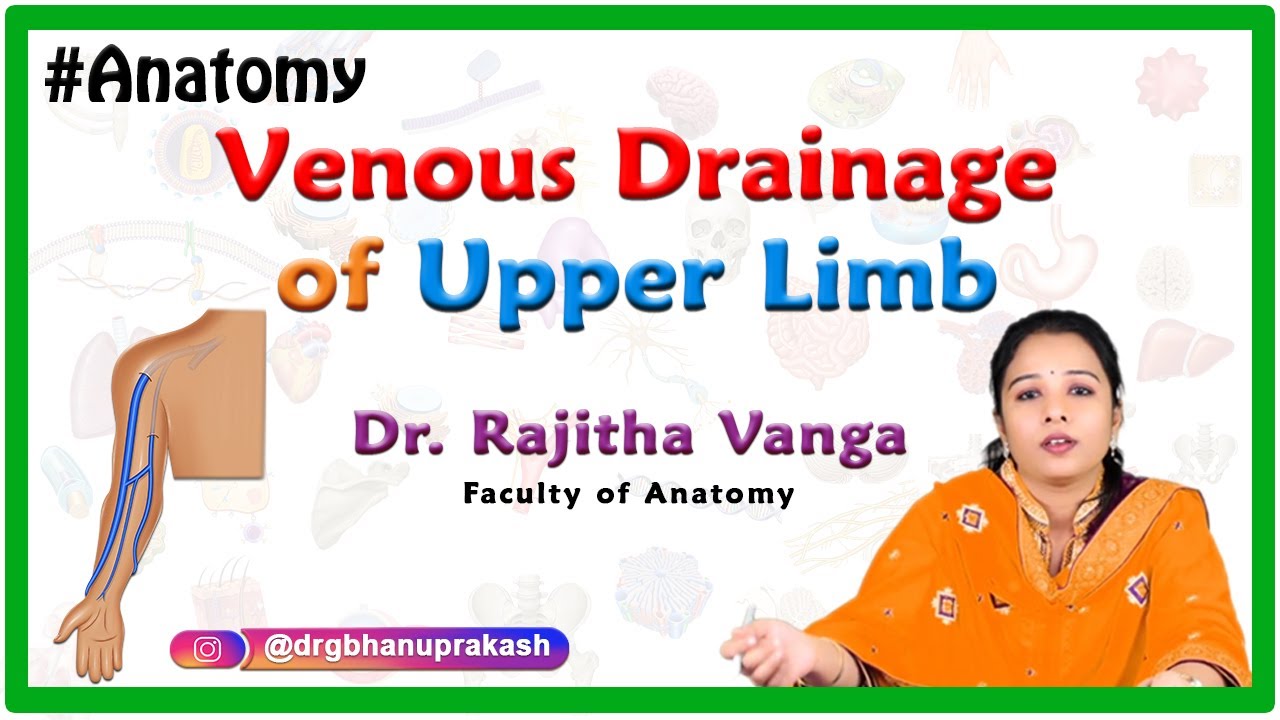 Venous Drainage of the Upper Limb