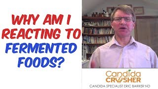 Im Reacting To Fermented Foods HELP!