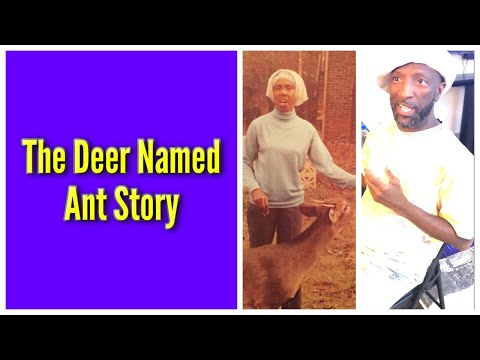 The Deer Named Ant Story