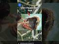 Ohh I Found Werid Fish Is The Real 😶‍🌫️🤯 On Google Maps and Google Earth #shots #universalmap