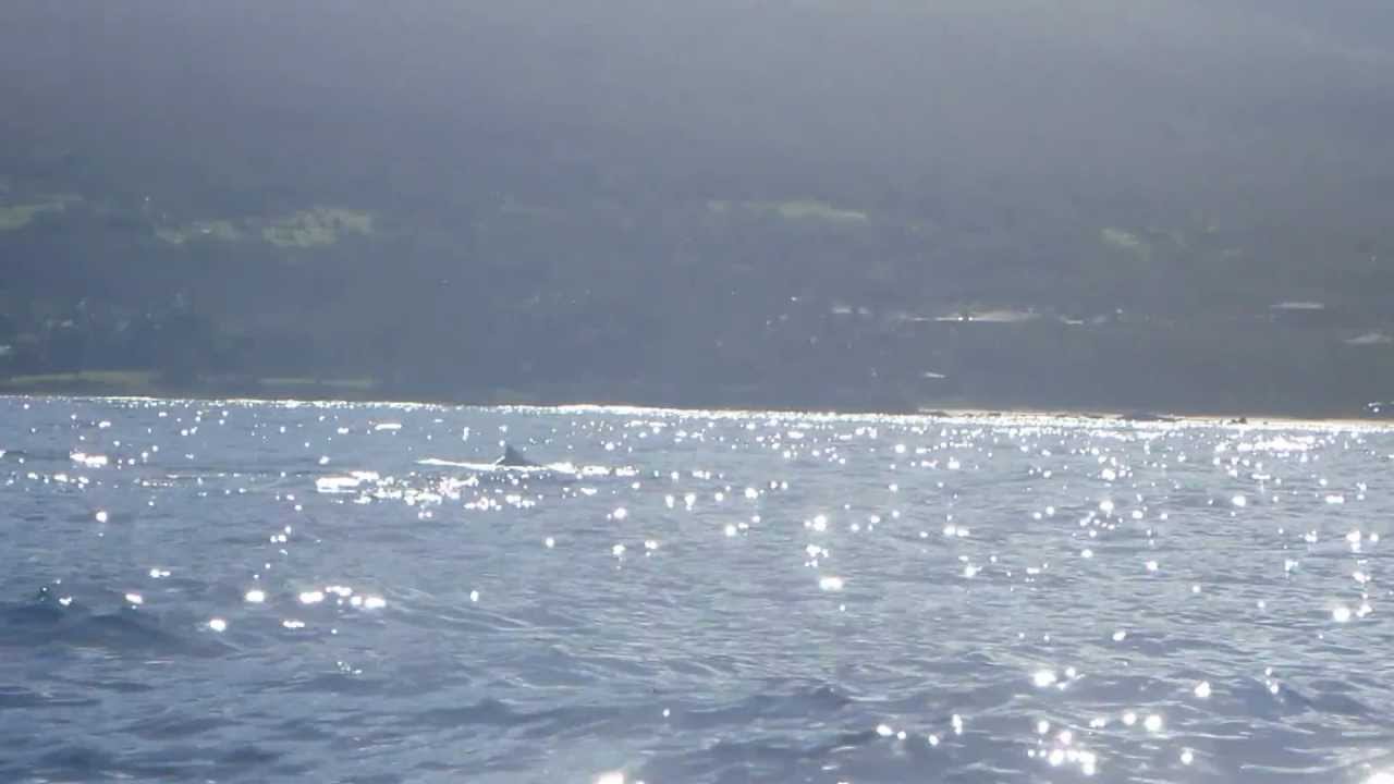 mom and baby watershed