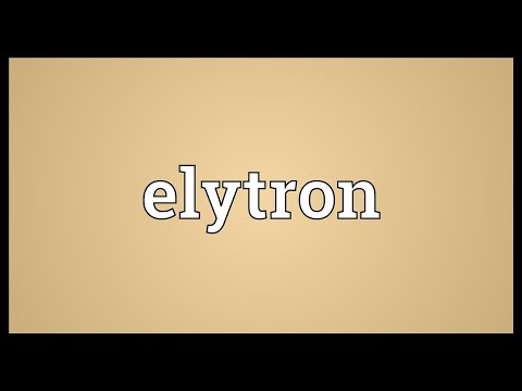 Header of elytron