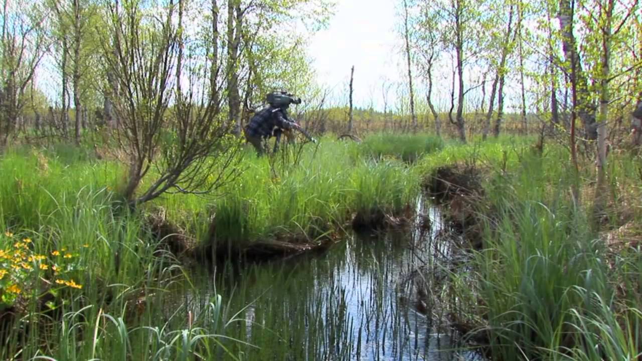 Das Land des Wanderfalken