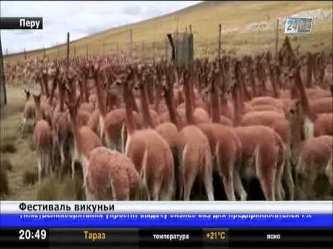 Видео: Ежегодные фестивали и мероприятия в Лиме, Перу