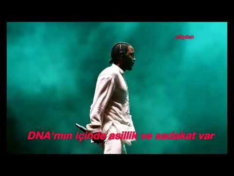 Kendrick Lamar - DNA. (Türkçe Altyazılı)