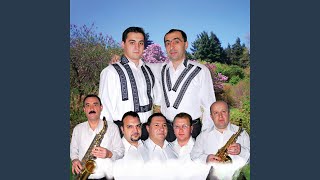 Hai Mândro La Miezul Nopții