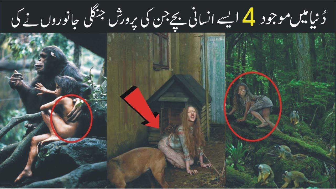 4 लोग जो जानवरों द्वारा उठाए गए थे / 4 people Who Were Raised By Wild