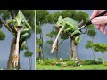 Monster chameleon feeding time diorama polymer clay