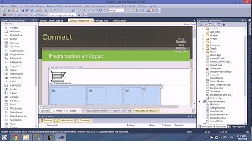Carrito Compra en Visual Basic