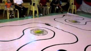 MOBOT RACE- UB VS SLU 2011 SR4- Guardian VS UB 2.AVI