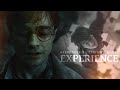 Harry Potter | Experience [1st September]