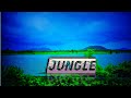  cinematicjungle  a beautiful jungle most wonderful place