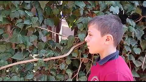 أرح قلبك بآيات من الذكر الحكيم