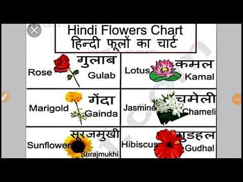 Flower Chart In Hindi