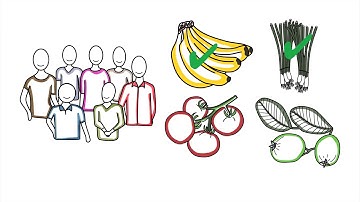 Introduction to GAP Certification - Spanish