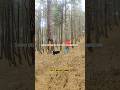 Jungle trails | mountain | animals