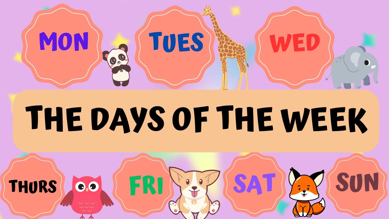 ENGLISH VOCABULARY :  THE DAYS OF THE WEEK