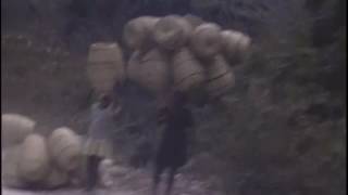 Haiti 1979 Final