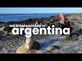 Mi intercambio en Argentina 1- Premiers mots en espagnol et week-end à Ushuaia