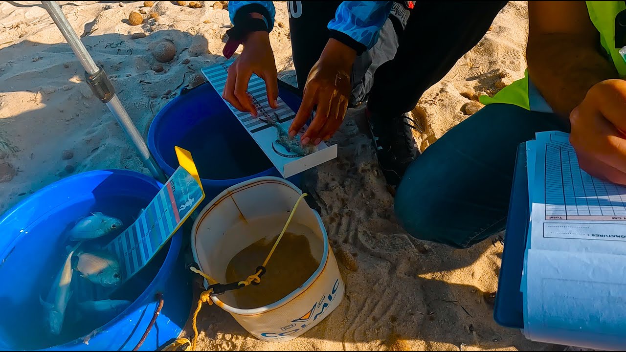 Trophée Poisson D'avril : Manche 1 / Salloum, Bouficha, Hammamet / Surfcasting