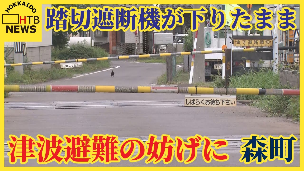 津波警報で踏切の遮断機が下りたまま 住民避難の妨げに 貨物列車緊急停止で 北海道森町 - YouTube