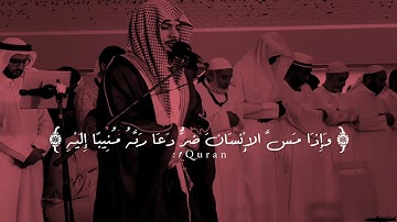 أَمَّنْ هُوَ قَانِتٌ آنَاءَ اللَّيْلِ سَاجِدًا وَقَائِمًا || تلاوة  مؤثرة من سورة الزمر