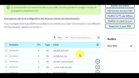 Réinitialiser ma zone DNS avec les entrées minimales - OVH