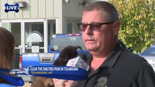 Texarkana shelter live